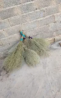 ۲۰ عدد جارو دستی با قیمت مناسب