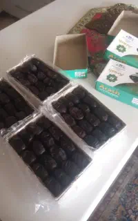 فروش خرمای مضافتی
