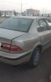 سمند معمولی