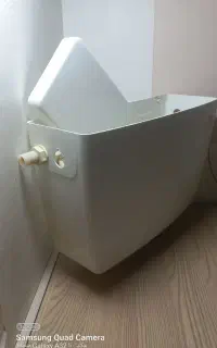 فلاشتانگ
