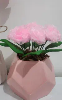 انواع گل مخملی و روبانی