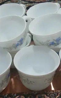 آرکوپال و سینی
