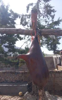 هیزه