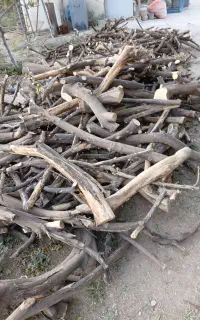 خرید وبرش چوب با اره برقی