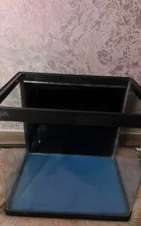 اکواریوم شرکتی