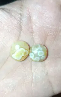 بابا قوری اصلی