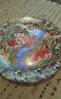 گل مرغی اوزاکا ی ژاپن
