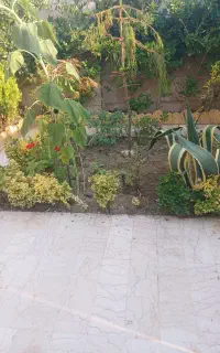 مجموعه خدماتی فضای سبز سبز آوران ارغوان