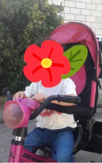 سه چرخه کالسکه