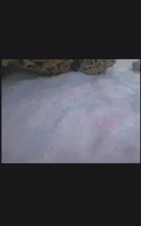 فروش شن و سنگ اکواریوم