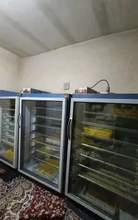 دستگاه جوجه کشی بلدرچین دماوند