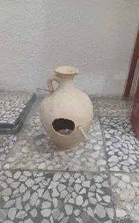 لانه مرغ عشق و طوطی