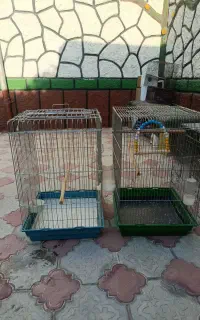 قفس بزرگ