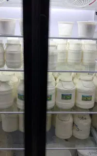 لبنیان محلی تهیه شده به روش سنتی