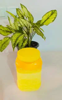 روغن حیوانی درجه یک خالص با عطر طعم بی نظیر