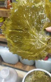 برگ مو