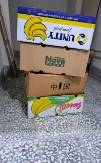 کارتن موز برای بار