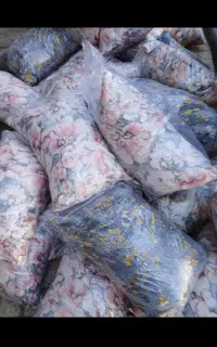 بالشت و تش ک تعاونی