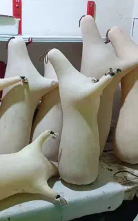 نی انبان یا نی همبون خام