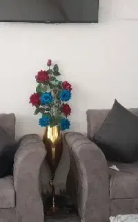 گل گلدان