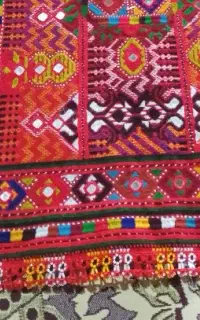 کریشی