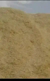فروش ۶ تن کاه