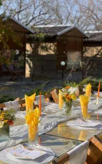 باغ دورهمی و تولد