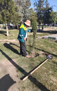 نیروی ساده فضای سبز