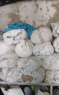 پشم حیوانی