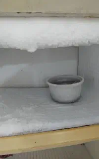یخچال.