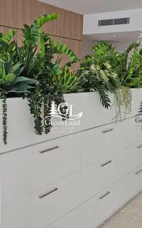 پپرومیا *دیزاین*لابی*ادارات فلاور باکس گل*