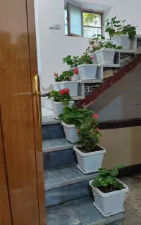 سوییت ویلا رویایی( دلچسب )جنب ابشار زیبای سمیرم