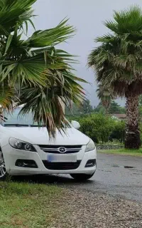 جک جی۵ اتوماتیک دوبرگ سند