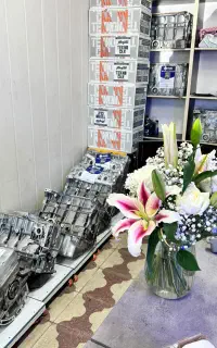تکمیل موتورپژودرجه یک کامل