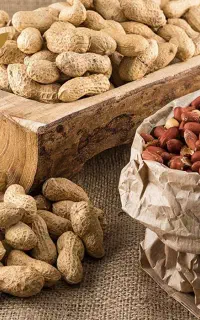 جذب شریک در کار