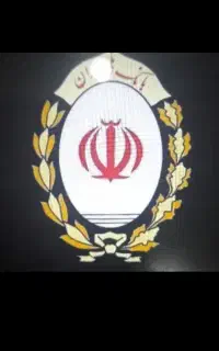 ضامن