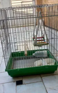 قفس پرنده