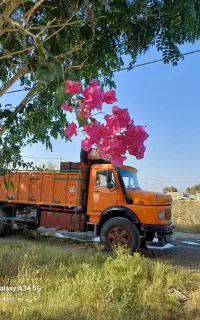 نیازمند راننده