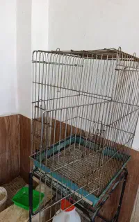 قفس استیل  مناسب طوطی ،عروس ،هلندی،کاسکو