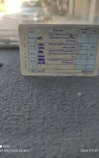 پیدا شده