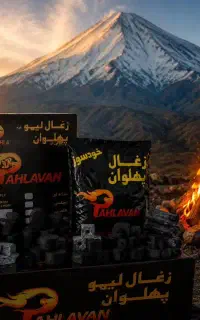 پخش انواع زغال کلی جزئی