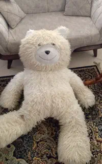 خرس