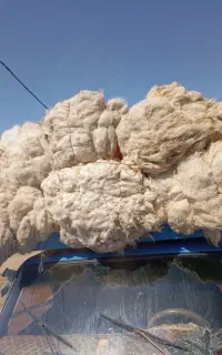 فروش انواع پشم