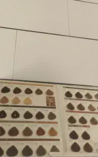 کاتولوگ رنگ مو