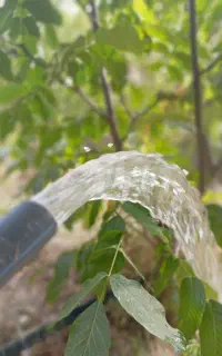 چاه کن، مغنی