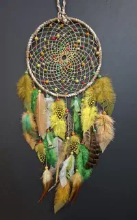 دریم کچر