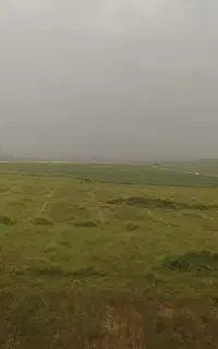 فروش گندم ساورز واس تیم