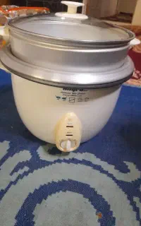 پلوپز برقی سه کاره آتیه