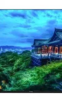 تلویزیون ۶۵ اینچ پارس