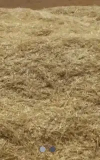 فروش کاه گندم دیم به مقدار26انبار